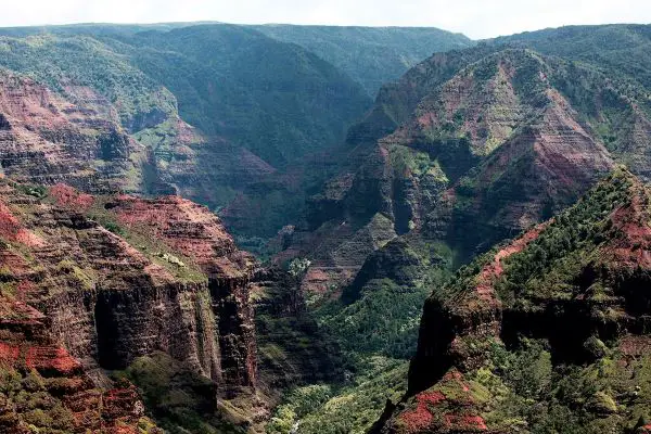 A breathtaking view of a canyon with layers of red and green rock formations, covered in lush vegetation, under a clear sky.